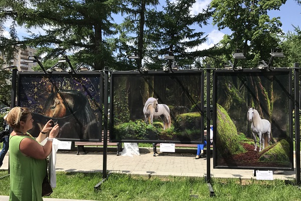  Торжественное открытие выставки «Лошади мира» состоялось в Москве
