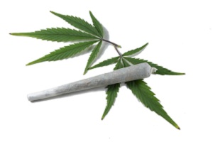 Французский министр образования выступил за легализацию марихуаны