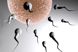 Тестируется перспективный контрацептив для мужчин