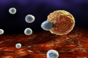 Выращены клетки-убийцы ВИЧ и рака