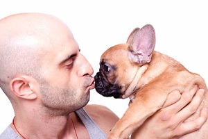Собачьи «поцелуи» грозят болезнями дёсен