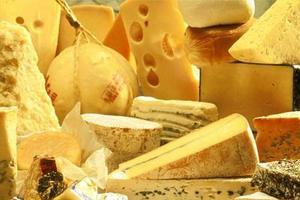 Г.Онищенко выразил озабоченность качеством украинского сыра